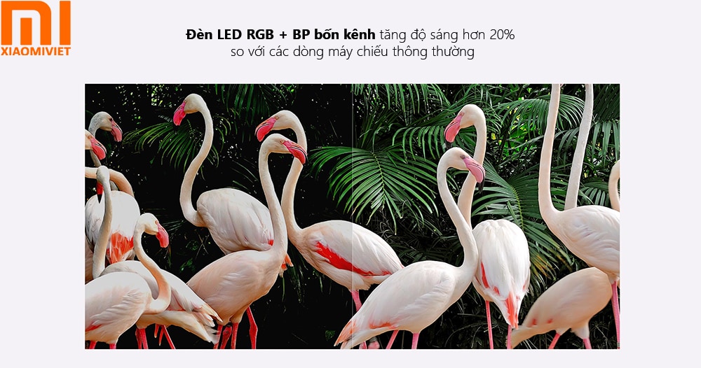 Máy chiếu Xiaomi 4K Mini Portable - Mi Smart Compact Projector 2 - Quốc Tế Chính Hãng Đèn LED RGB + BP bốn kênh tăng độ sáng hơn 20%